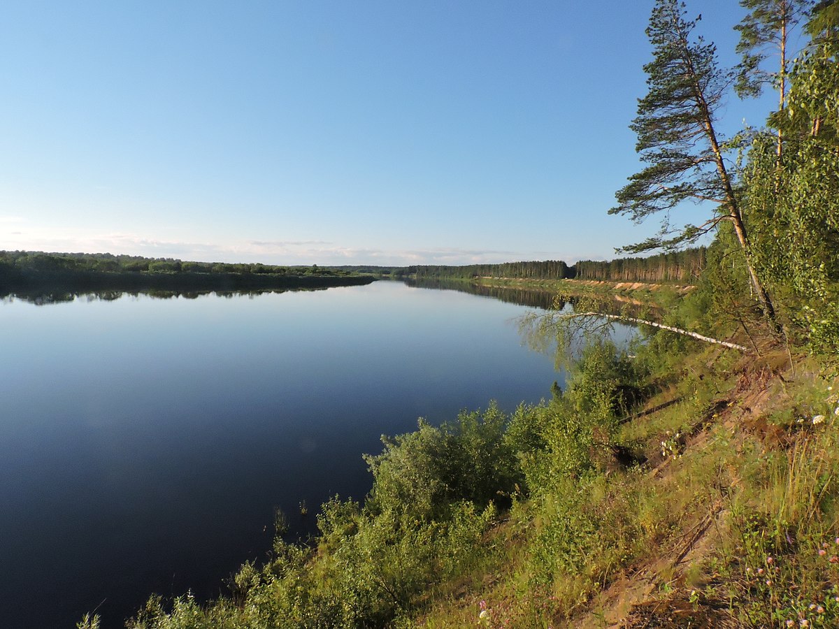 Река Молога — 25 км. береговой линии